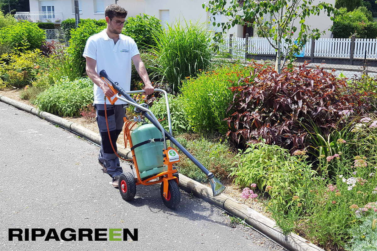 RIPAGREEN révolutionne le désherbage grâce à la chaleur pulsée.